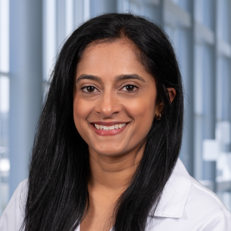 faculty portrait of Dr. Sheila Hegde