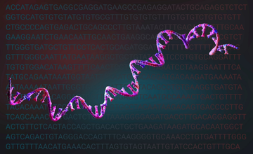 genetics