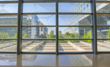 the courtyard outside the Adult Transition Clinic