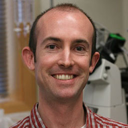 Ryan Hibbs, Ph.D.