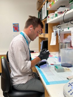 A photo of a researcher working in a lab
