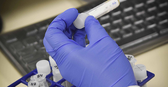 lab test tubes