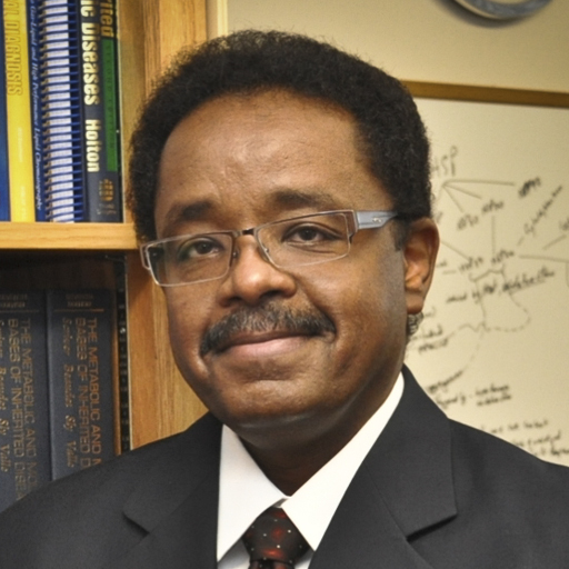 Ibrahim Hashim, Ph.D.