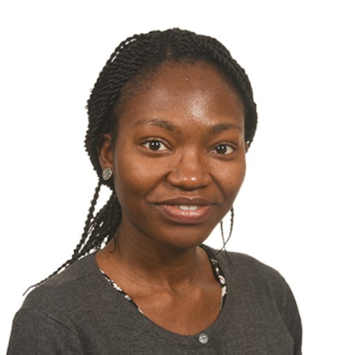 Evelyn Ilori, M.D., Ph.D.