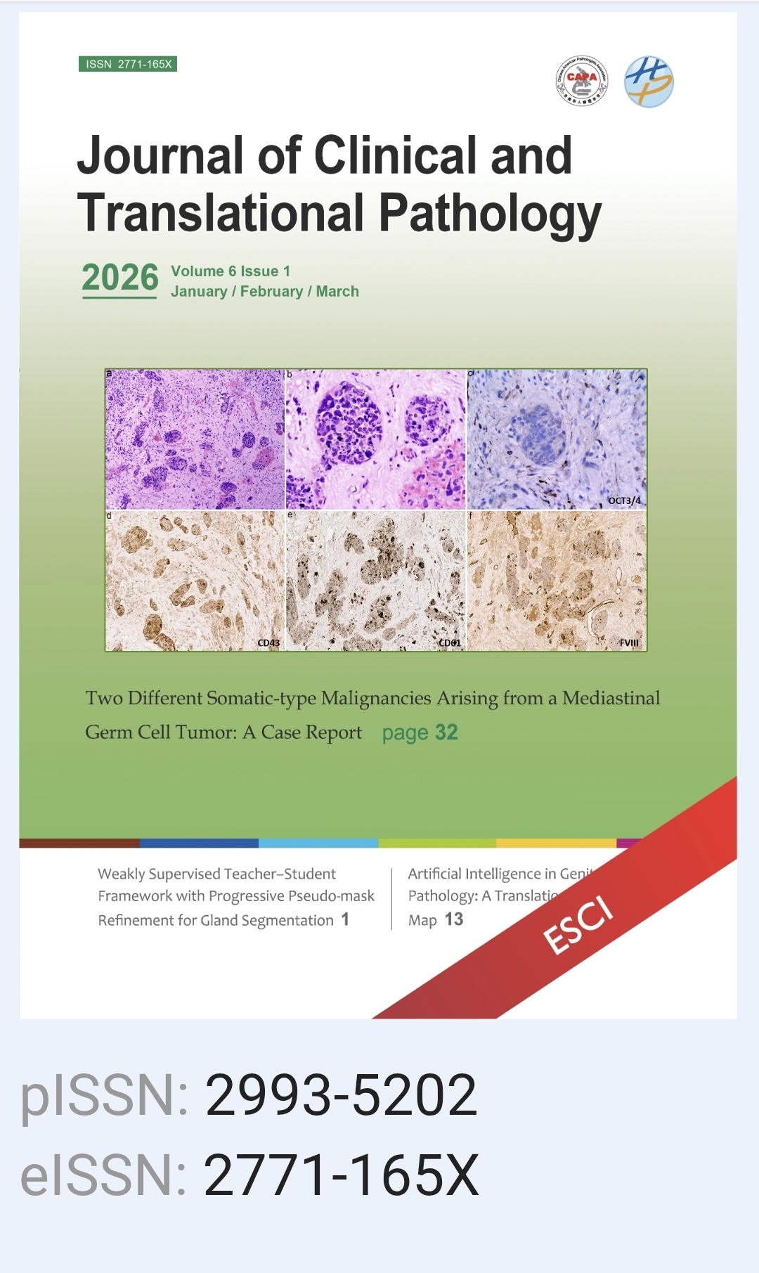 Cover of Journal of Clinical and Translational Pathology (JCTP), Yan Peng, M.D., Ph.D. Deputy Editor in Chief 