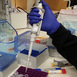 syringe in lab
