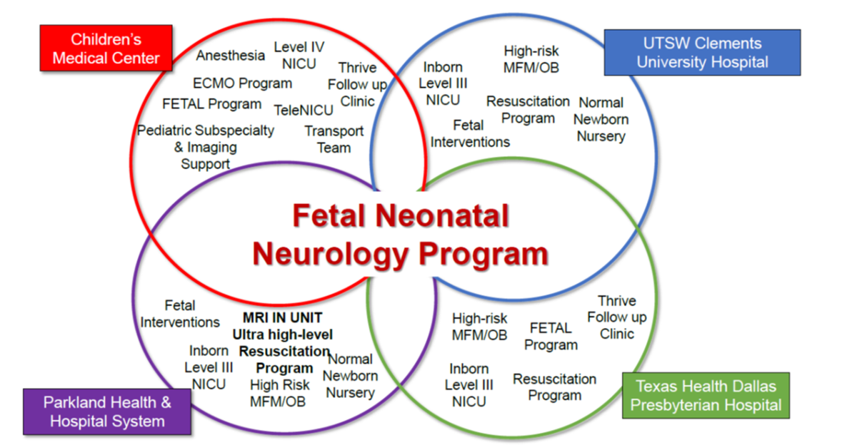 Fetal Neonatal Neurology Program diagram