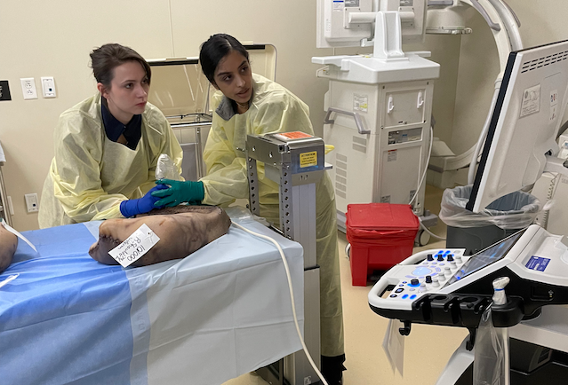 Musculoskeletal Ultrasound training