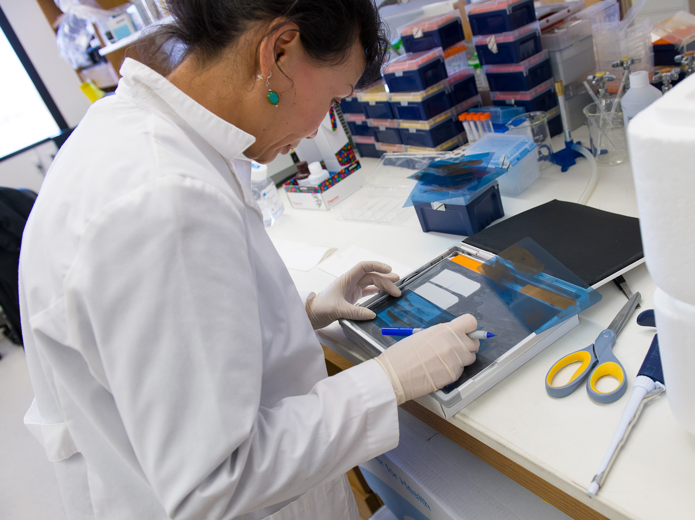 A medical professional in a lab coat and gloves uses a blue marker to write on transparent sheets in a laboratory setting, surrounded by lab tools including pipettes, scissors, containers, and boxes.