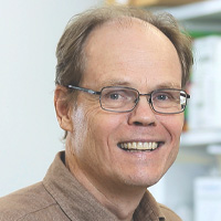 Tim Greten, M.D.