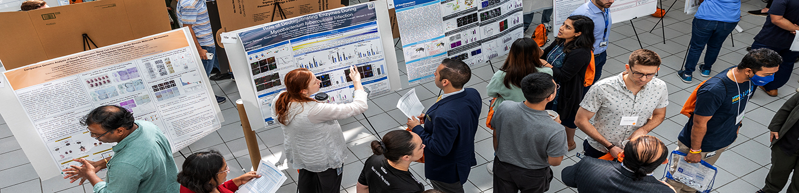 Posterboard presentations at a conference