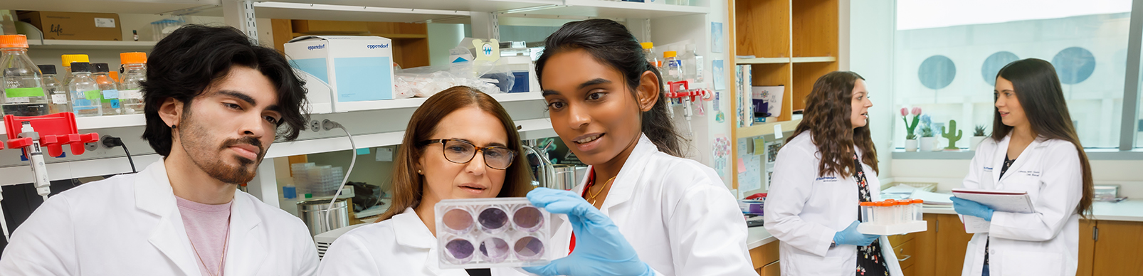 Interns at work in a lab