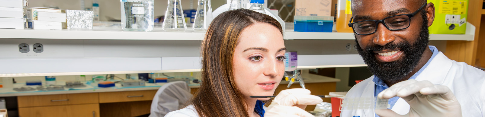 Fellows at work in a lab