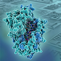 Abstract image of a cell in teal