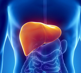 liver scan
