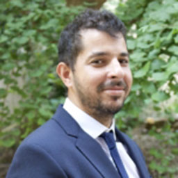 Wessan Hassanein, MBBCH