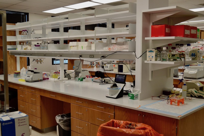 Molecular Medicine Lab