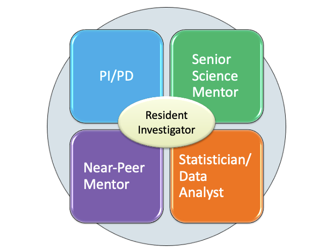UT-StARR Mentoring Structure
