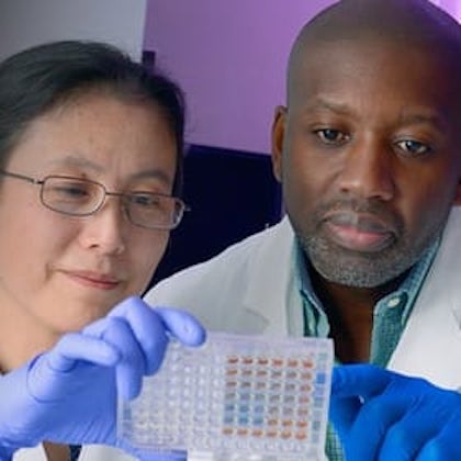 Two researchers review an experiment