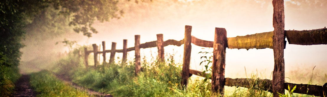 An image of a rustic wooden fence between a field and a forest on a foggy day