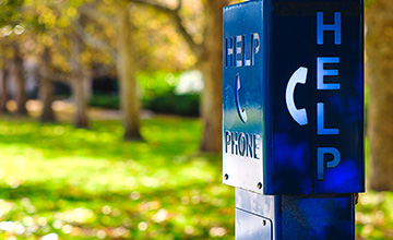 brown trees and green grass in background behind help phone box
