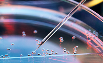 closeup of bubbles on glass dish with pointed tube inserting into a bubble