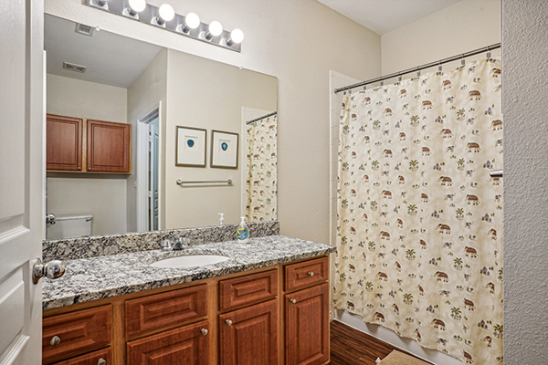 Interior Apartment Bathroom