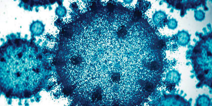 Blue infectious disease