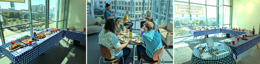 image of the Microbiology department's second-annual Great Micro Bake-off to raise money for the SECC