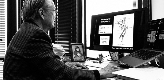 Dr. Takahashi looking on a computer screen