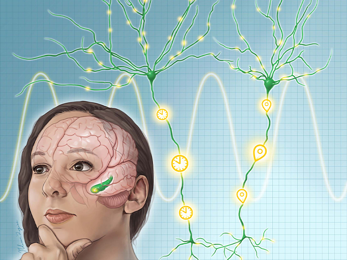  A woman with brain waves called &ldquo;theta rhythms&rdquo;