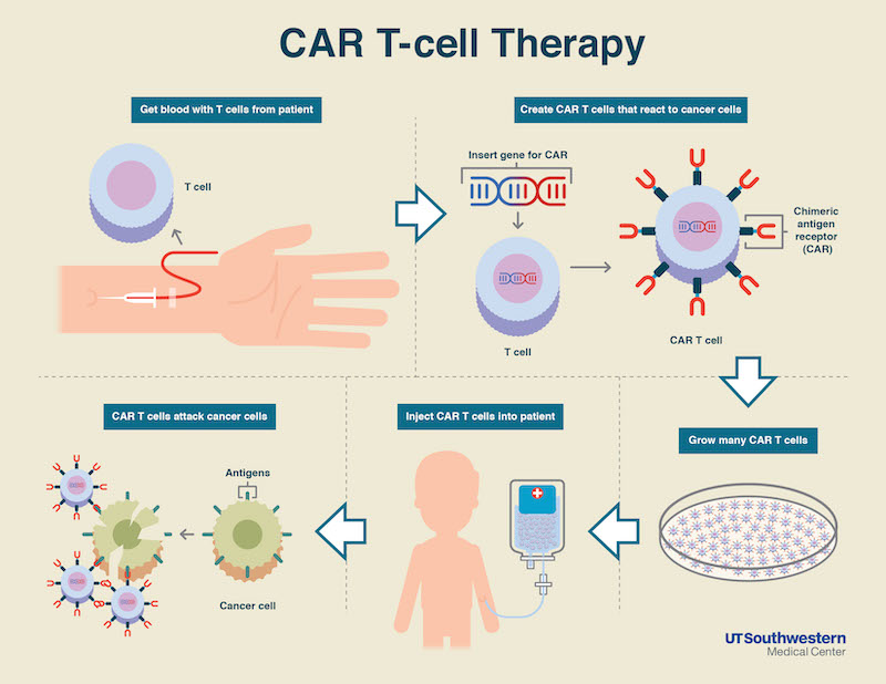 CAR-T Cell