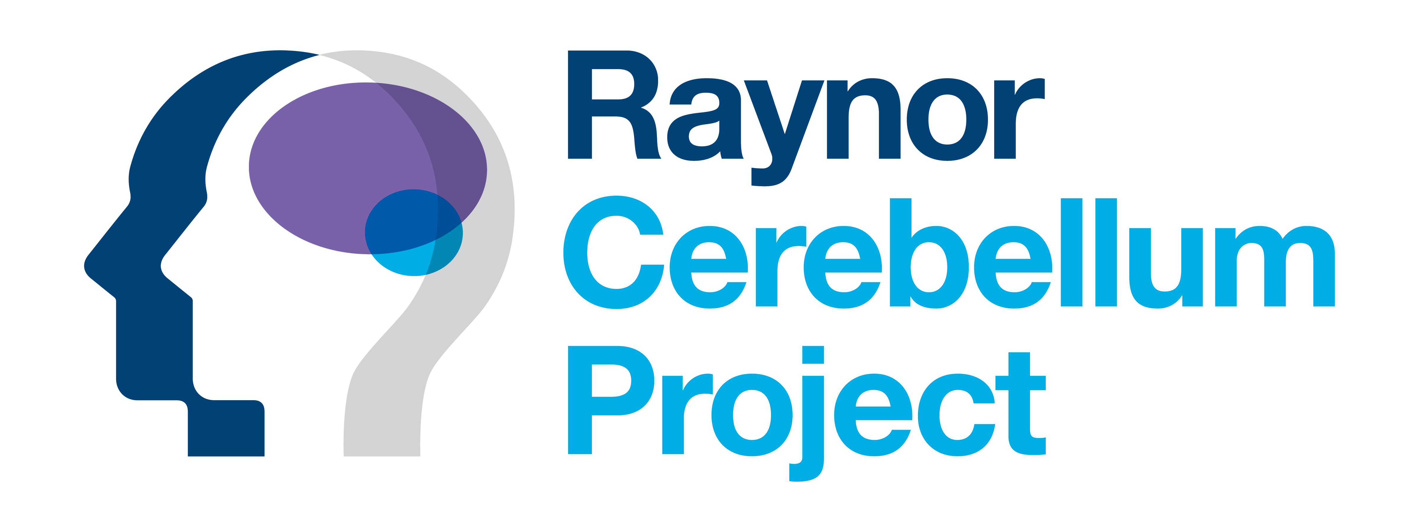 The Raynor Cerebellum Project graphic