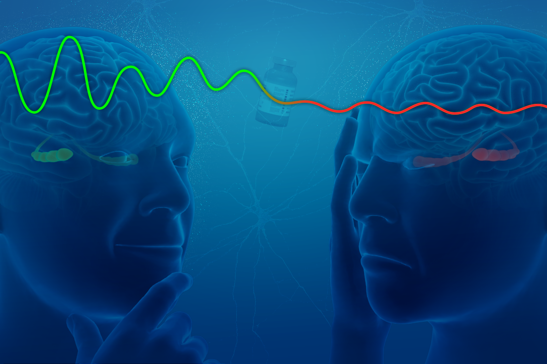Theta oscillations &ndash; brain waves