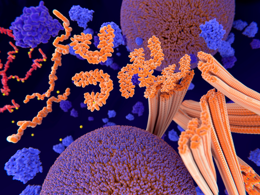 3D illustration shows tau proteins