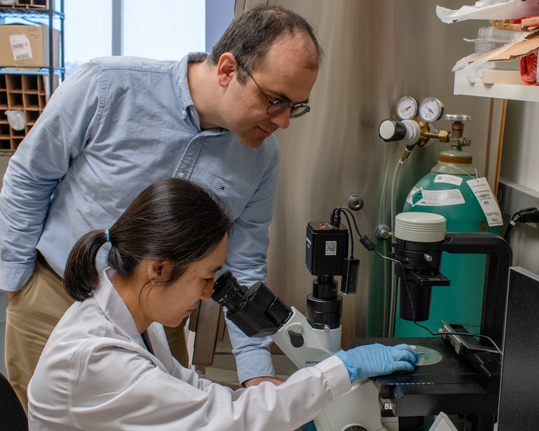 Michalis Agathocleous, Ph.D.