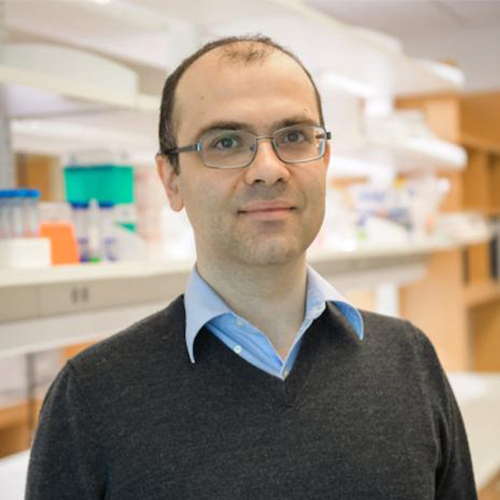 Michalis Agathocleous, Ph.D.