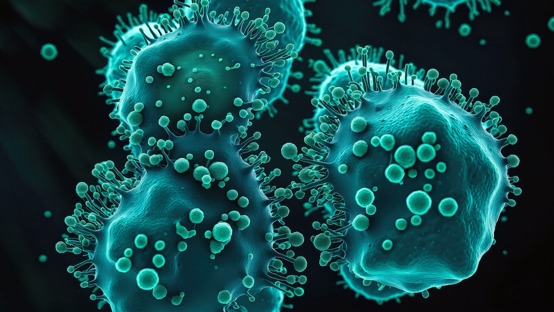 Cancer malignant cells