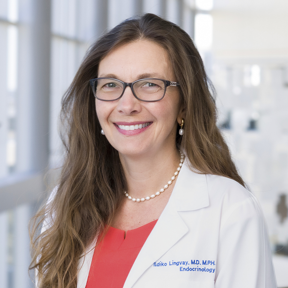 Ildiko Lingvay, M.D.