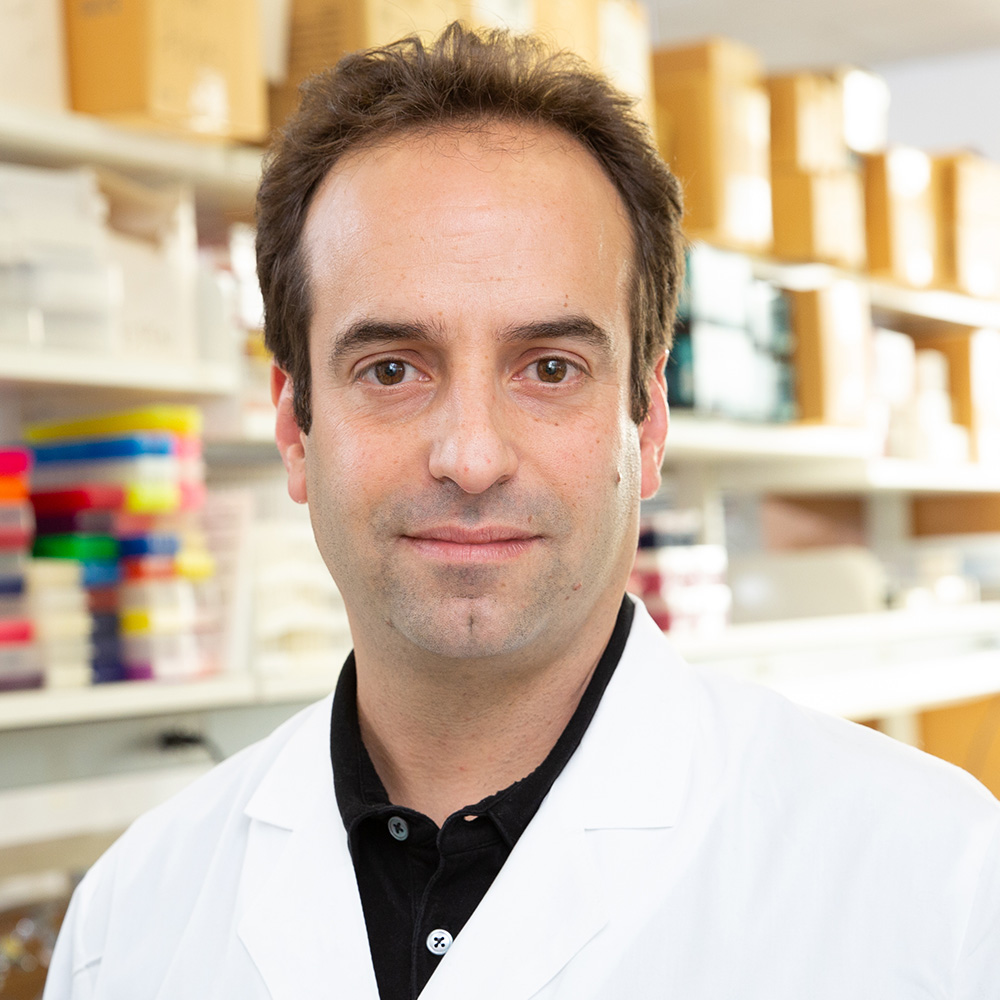 Joshua Mendell, M.D., Ph.D.