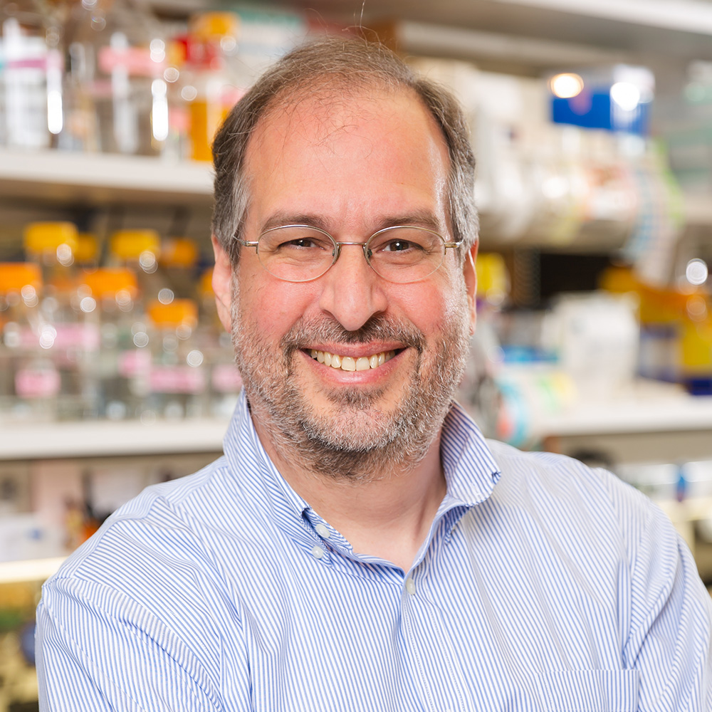 Michael Rosen, Ph.D.