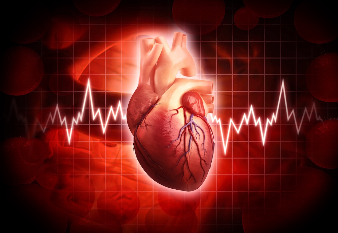 Human heart, artwork
