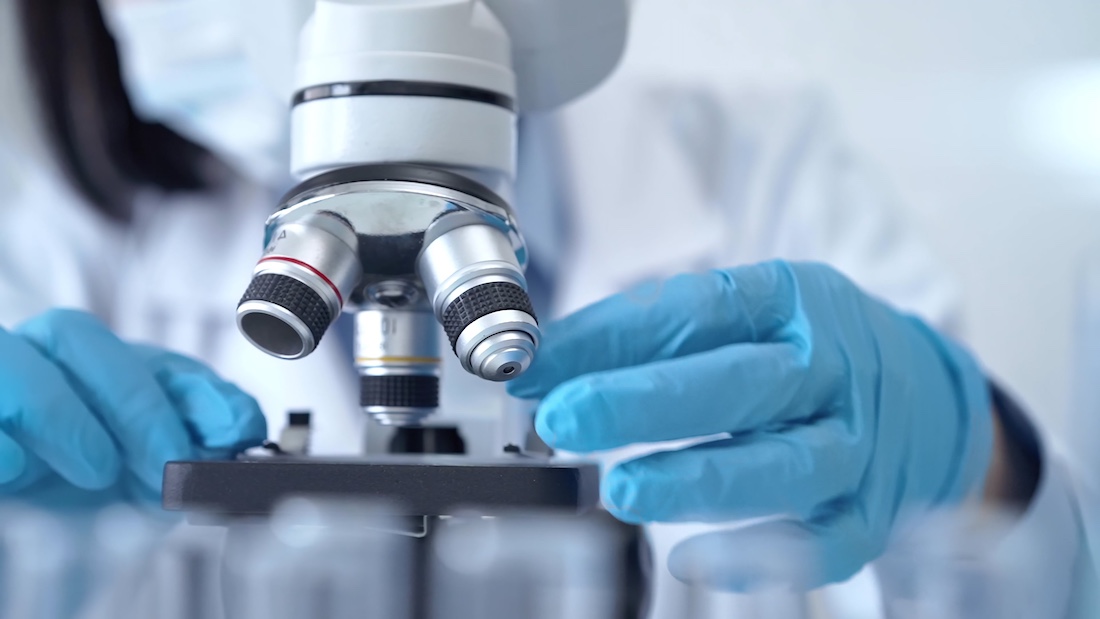  Close-up of a researcher's hands adjusting a modern microscope in a lab setting. 