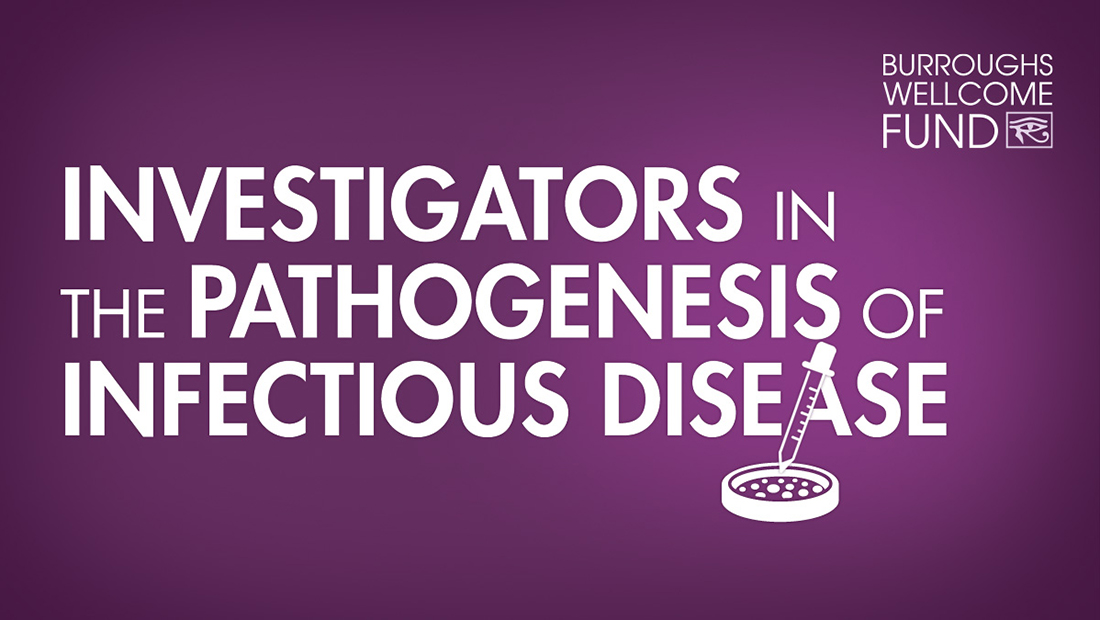 Text graphic that reads Investigators in the Pathogenesis of Infectious Disease