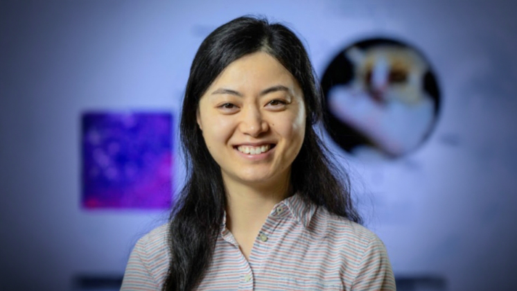 Headshot of Shixuan Liu