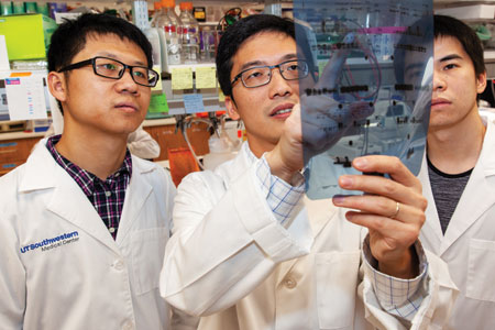 Three scientists in UT Southwestern&rsquo;s Kidney Cancer program