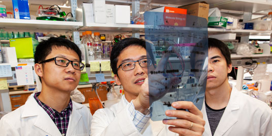 Three scientists in UT Southwestern&rsquo;s Kidney Cancer program
