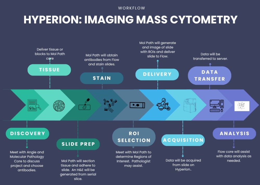infographic of Hyperion Imaging Mass Cytometry workflow including discovery, tissue, stain, ROI, delivery, acquisition, data transfer and analysis