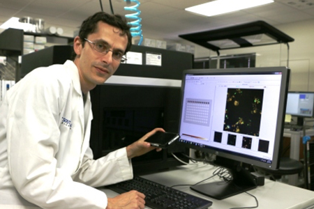 Hanspeter Niederstrasser, Ph.D., reviews high content screening images on the INCell Analyzer 6000&trade; (GE Healthcare, Inc.).