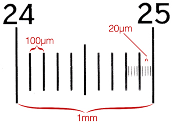 The example graphic described in the text